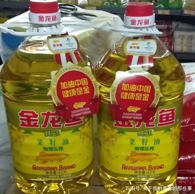 金龍魚為何這么貴，金龍魚為什么價格昂貴？ 金龍魚為何這么貴，金龍魚為什么價格昂貴？ 龍魚百科 第3張