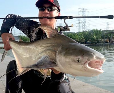jhwsz魚缸官網(wǎng)：jhwsz魚缸官網(wǎng)jhwsz魚缸官網(wǎng)appjhwsz魚缸質(zhì)量好不好