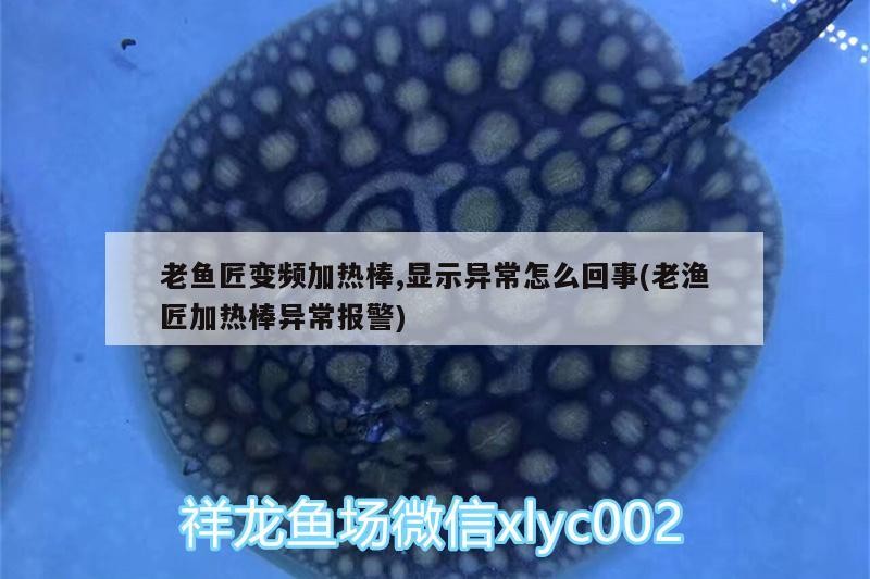 老魚匠變頻加熱棒,顯示異常怎么回事(老漁匠加熱棒異常報警)