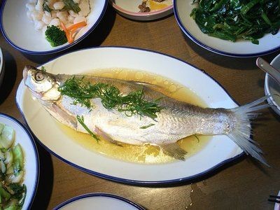 30種常見熱帶觀賞魚大白魚：30種常見熱帶觀賞魚品種