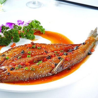 30種常見熱帶觀賞魚大白魚：30種常見熱帶觀賞魚品種