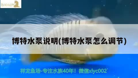 博特水泵說明(博特水泵怎么調節)