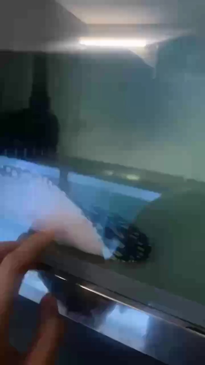 好久沒開閘門了