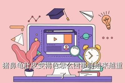 豬鼻龜身上長褐色苔：豬鼻龜如何治療