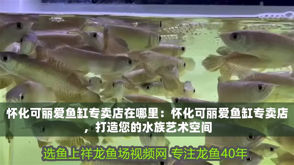 懷化可麗愛魚缸專賣店在哪里：懷化可麗愛魚缸專賣店，打造您的水族藝術空間