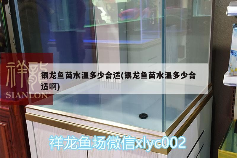 銀龍魚苗水溫多少合適(銀龍魚苗水溫多少合適啊)