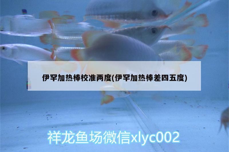 鸚鵡魚和銀龍魚混養怎樣喂食 伊罕加熱棒校準兩度(伊罕加熱棒差四五度) 伊罕水族 伊罕加熱棒校準兩度(伊罕加熱棒差四五度) 伊罕加熱棒校準兩度(伊罕加熱棒差四五度) 伊罕水族