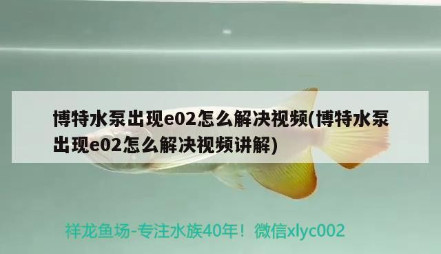 博特水泵出現(xiàn)e02怎么解決視頻(博特水泵出現(xiàn)e02怎么解決視頻講解)