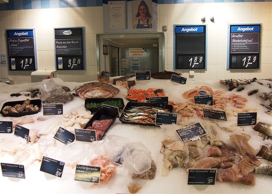 西安市未央區魟彩水族用品店 西安市未央區魟彩水族用品店 全國水族館企業名錄 第2張
