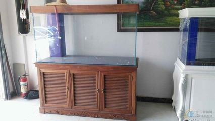 魚缸玻璃多少錢一斤，魚缸玻璃價格受多種因素影響魚缸玻璃價格受多種因素影響 魚缸玻璃多少錢一斤，魚缸玻璃價格受多種因素影響魚缸玻璃價格受多種因素影響 魚缸百科 第2張