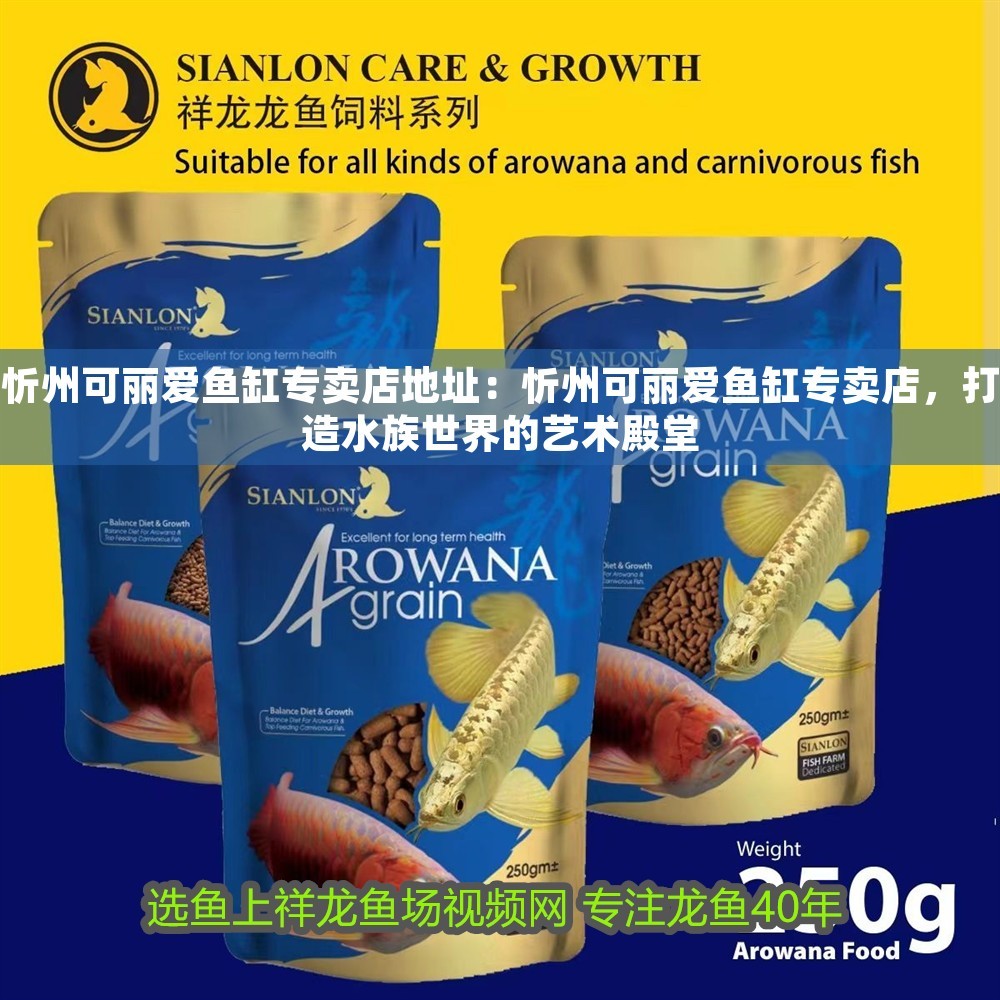 忻州可麗愛魚缸專賣店地址：忻州可麗愛魚缸專賣店，打造水族世界的藝術殿堂 忻州可麗愛魚缸專賣店地址：忻州可麗愛魚缸專賣店，打造水族世界的藝術殿堂 iwish愛唯希品牌魚缸 第1張