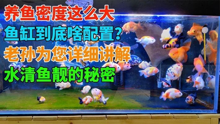 老魚匠加熱棒出現離水斷電故障怎么維修（老魚匠加熱棒顯示離水斷電）