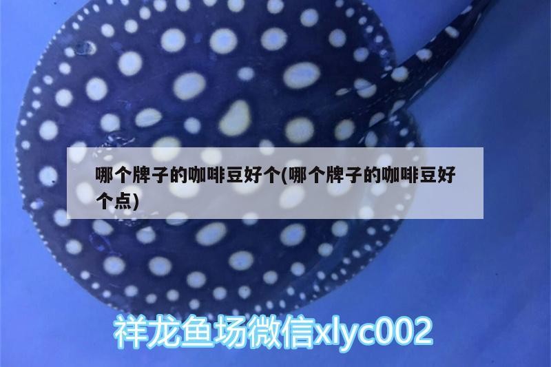 哪個牌子的咖啡豆好個(哪個牌子的咖啡豆好個點)
