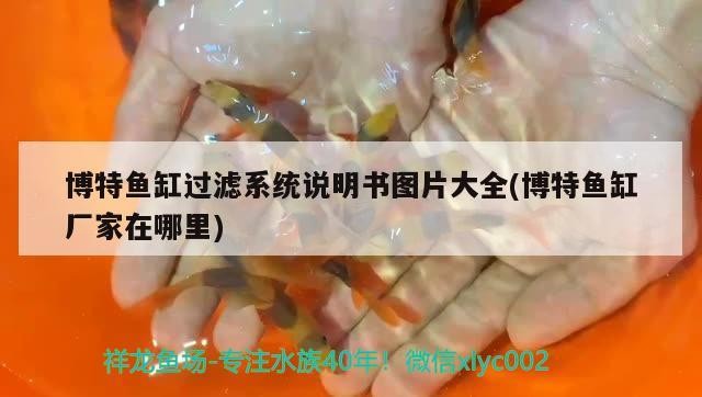 飼料 博特魚缸過濾系統(tǒng)說明書圖片大全(博特魚缸廠家在哪里) 博特水族 博特魚缸過濾系統(tǒng)說明書圖片大全(博特魚缸廠家在哪里) 博特魚缸過濾系統(tǒng)說明書圖片大全(博特魚缸廠家在哪里) 博特水族