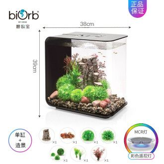 28厘米魚缸適合養什么：28厘米的魚缸適合養兩到三條小型、活潑的魚缸