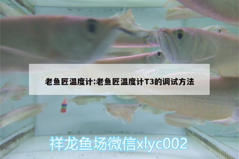老魚匠溫度計:老魚匠溫度計T3的調試方法