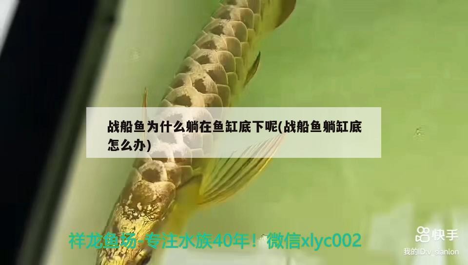 魚池過濾器、歐亞瑟池塘過濾器、伊罕池塘過濾器哪種好(錦鯉魚池過濾器、伊罕池塘過濾器、伊罕池塘過濾器哪種好) 伊罕水族 第2張 魚池過濾器、歐亞瑟池塘過濾器、伊罕池塘過濾器哪種好(錦鯉魚池過濾器、伊罕池塘過濾器、伊罕池塘過濾器哪種好) 魚池過濾器、歐亞瑟池塘過濾器、伊罕池塘過濾器哪種好(錦鯉魚池過濾器、伊罕池塘過濾器、伊罕池塘過濾器哪種好) 伊罕水族 第2張