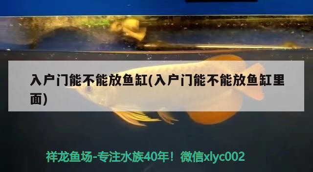 魚池過濾器、歐亞瑟池塘過濾器、伊罕池塘過濾器哪種好(錦鯉魚池過濾器、伊罕池塘過濾器、伊罕池塘過濾器哪種好) 伊罕水族 第3張 魚池過濾器、歐亞瑟池塘過濾器、伊罕池塘過濾器哪種好(錦鯉魚池過濾器、伊罕池塘過濾器、伊罕池塘過濾器哪種好) 魚池過濾器、歐亞瑟池塘過濾器、伊罕池塘過濾器哪種好(錦鯉魚池過濾器、伊罕池塘過濾器、伊罕池塘過濾器哪種好) 伊罕水族 第3張