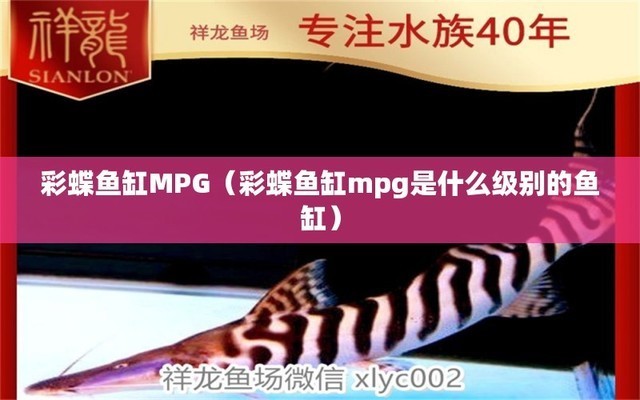 創(chuàng)寧變頻水泵嗡嗡響怎么解決的（創(chuàng)寧變頻水泵嗡嗡響怎么解決的視頻） 創(chuàng)寧變頻水泵嗡嗡響怎么解決的（創(chuàng)寧變頻水泵嗡嗡響怎么解決的視頻） 創(chuàng)寧水族