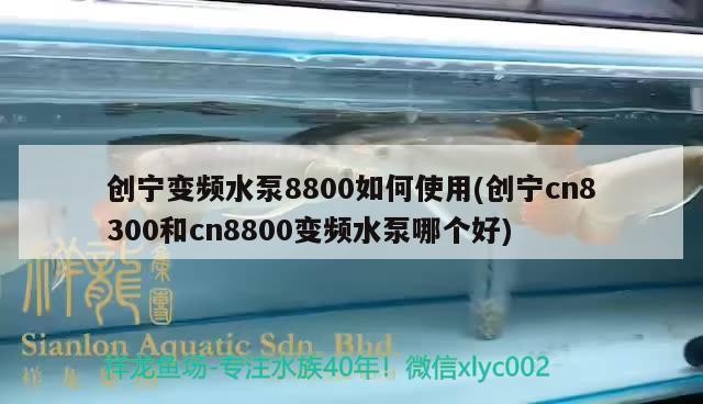創寧變頻水泵8800如何使用(創寧cn8300和cn8800變頻水泵哪個好)