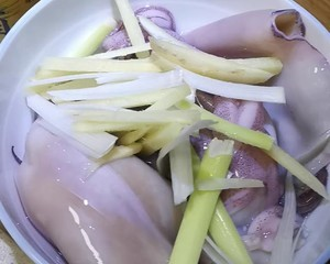 恐龍打一生肖動物，揭秘遠(yuǎn)古與現(xiàn)代的神秘聯(lián)系