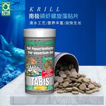 孔雀魚最討厭的三樣東西，飼養者必知的避雷指南 孔雀魚最討厭的三樣東西，飼養者必知的避雷指南 龍魚百科 第2張