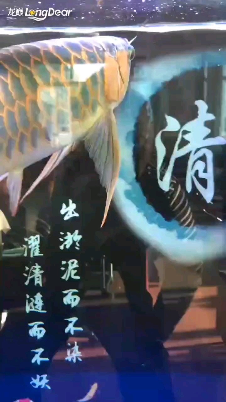 轉發570