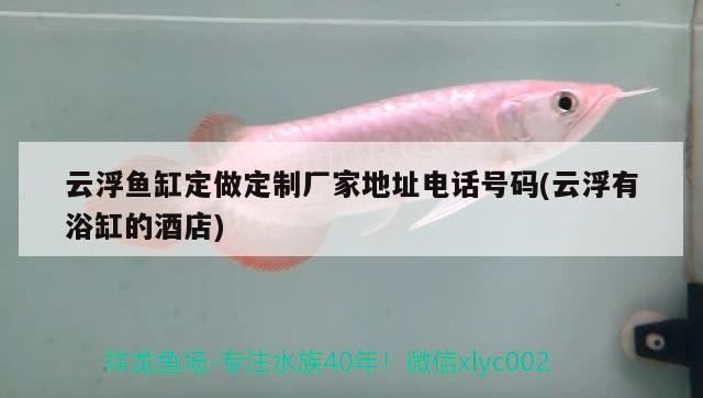 云浮魚缸定做定制廠家地址電話號碼(云浮有浴缸的酒店)