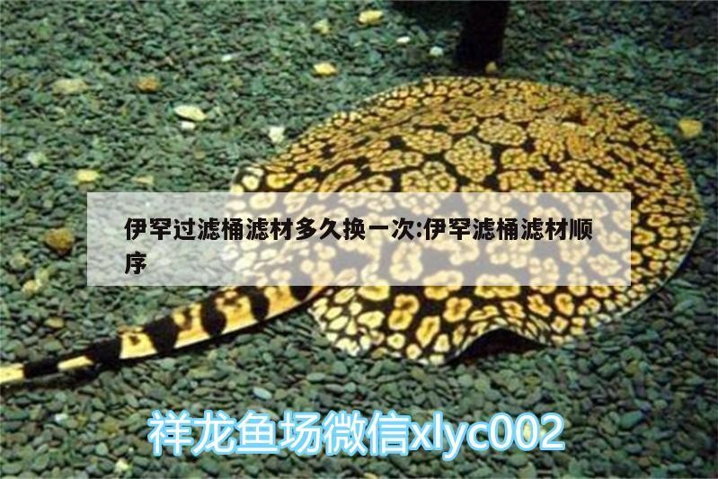 伊罕過(guò)濾桶濾材多久換一次:伊罕濾桶濾材順序