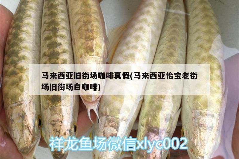 馬來西亞舊街場咖啡真假(馬來西亞怡寶老街場舊街場白咖啡) 馬來西亞舊街場咖啡真假(馬來西亞怡寶老街場舊街場白咖啡) 馬來西亞咖啡