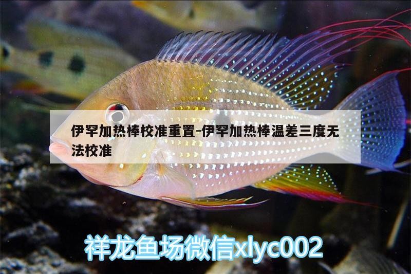 伊罕加熱棒校準(zhǔn)重置:伊罕加熱棒溫差三度無法校準(zhǔn) 伊罕加熱棒校準(zhǔn)重置:伊罕加熱棒溫差三度無法校準(zhǔn) 伊罕水族