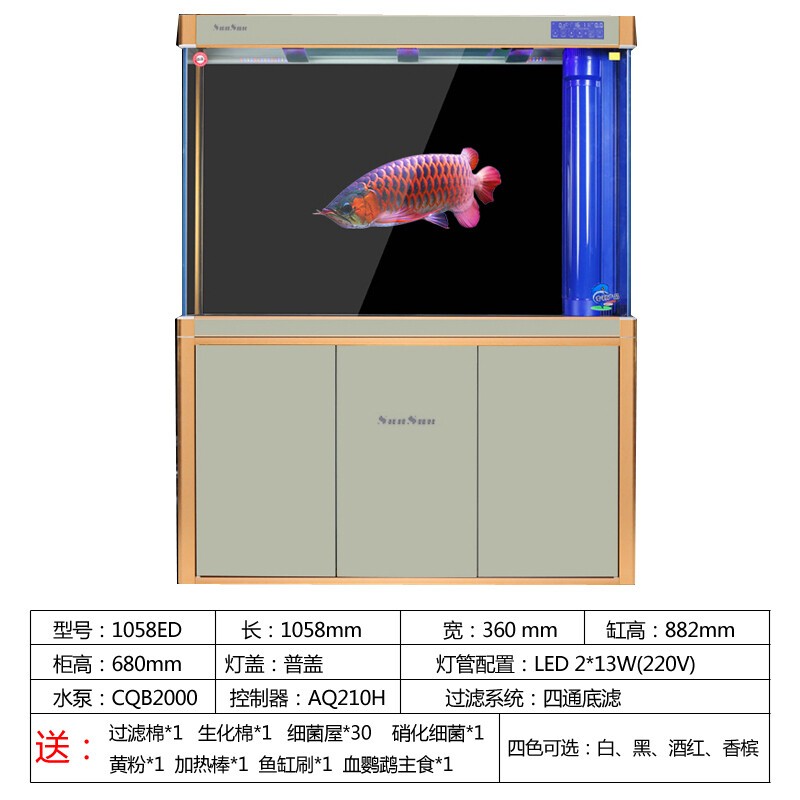 孔雀魚壽命一覽表,影響壽命的因素與延長方法 龍魚百科 第2張 孔雀魚壽命一覽表,影響壽命的因素與延長方法 孔雀魚壽命一覽表,影響壽命的因素與延長方法 龍魚百科 第2張