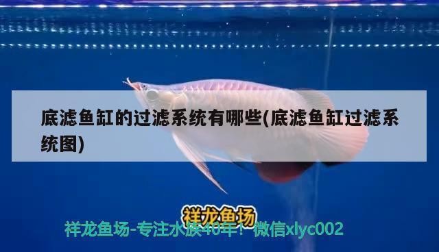 老魚匠變頻水泵怎么樣（老魚匠變頻水泵怎么樣海缸）