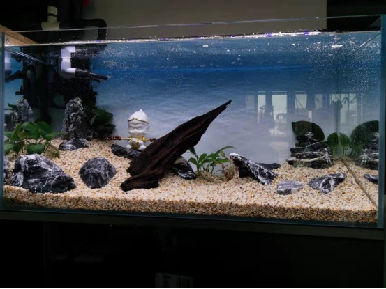 老魚匠水泵官網(wǎng)（老魚匠水泵質(zhì)量怎么樣）