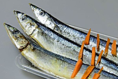 孔雀魚陸續團滅的原因分析與解決方案 龍魚百科 第3張 孔雀魚陸續團滅的原因分析與解決方案 孔雀魚陸續團滅的原因分析與解決方案 龍魚百科 第3張