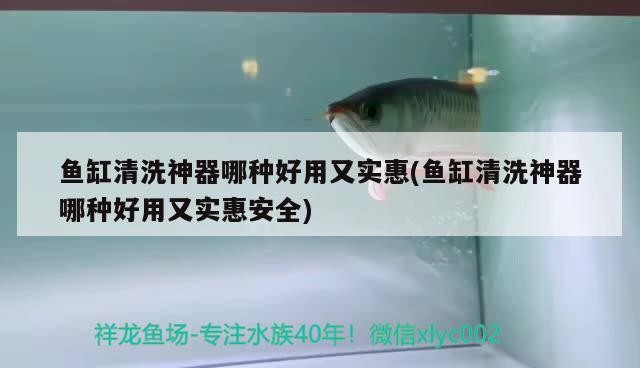 魚缸清洗神器哪種好用又實(shí)惠(魚缸清洗神器哪種好用又實(shí)惠安全) 魚缸清洗神器哪種好用又實(shí)惠(魚缸清洗神器哪種好用又實(shí)惠安全) iwish愛唯希品牌魚缸
