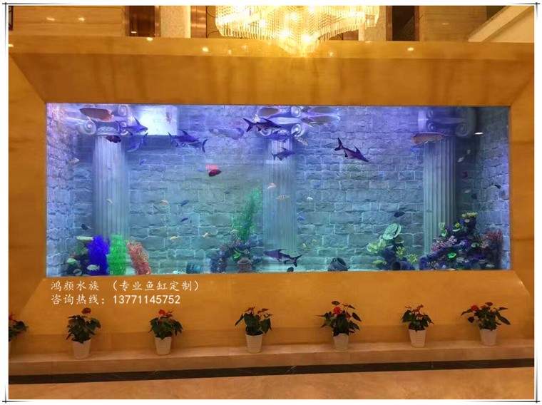 觀賞魚不愛游動怎么辦(魚不喜歡游動) 觀賞魚不愛游動怎么辦(魚不喜歡游動) iwish愛唯希品牌魚缸