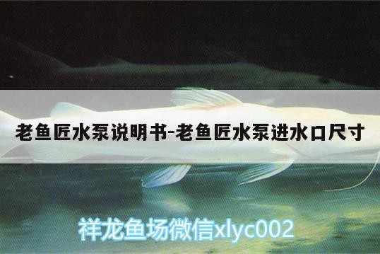 老魚匠水泵說明書:老魚匠水泵進水口尺寸 老魚匠水泵說明書:老魚匠水泵進水口尺寸 老魚匠