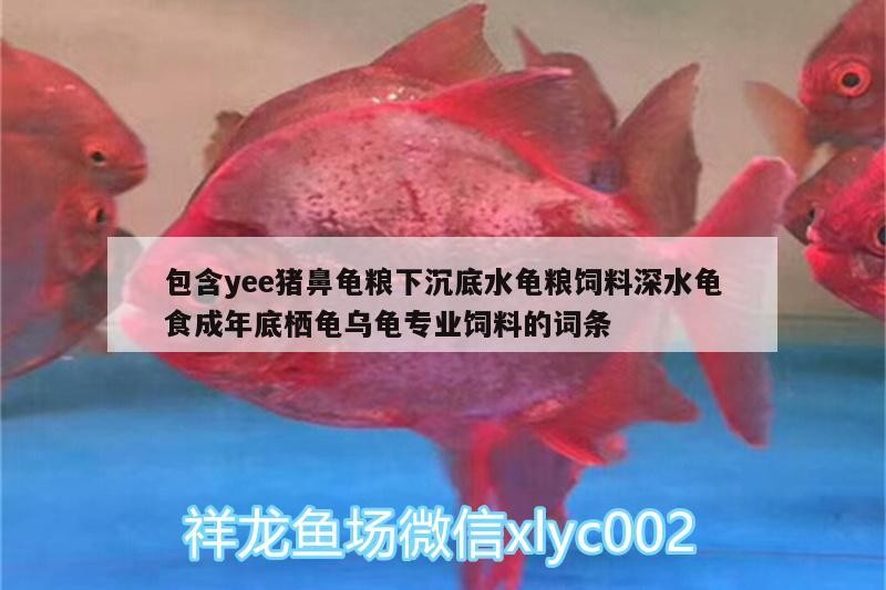 包含yee豬鼻龜糧下沉底水龜糧飼料深水龜食成年底棲龜烏龜專業飼料的詞條