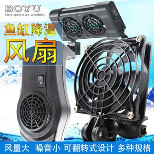 魚缸里的戰爭，客廳養魚如何引發夫妻爭吵？ 魚缸里的戰爭，客廳養魚如何引發夫妻爭吵？ 龍魚百科 第2張