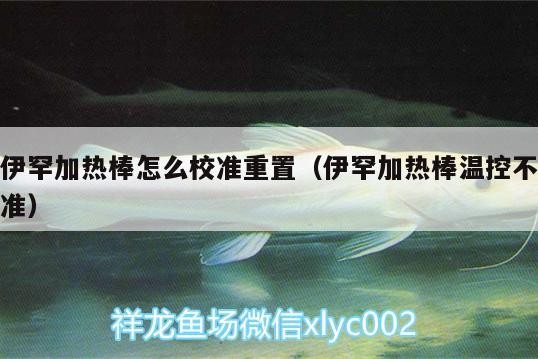 伊罕加熱棒怎么校準重置（伊罕加熱棒溫控不準）