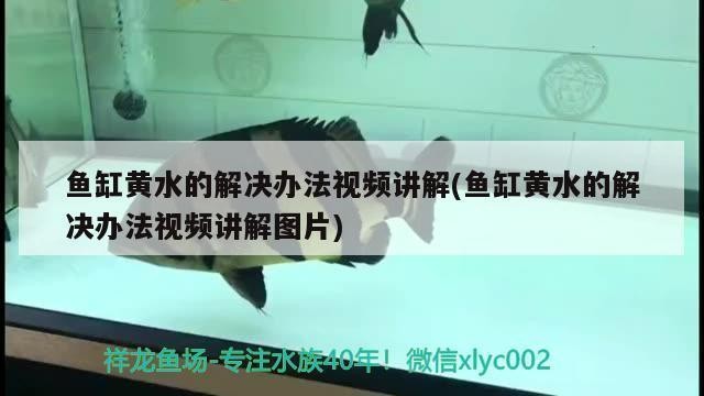 創寧的變頻水泵怎么樣好用嗎（創寧的變頻水泵怎么樣好用嗎視頻）