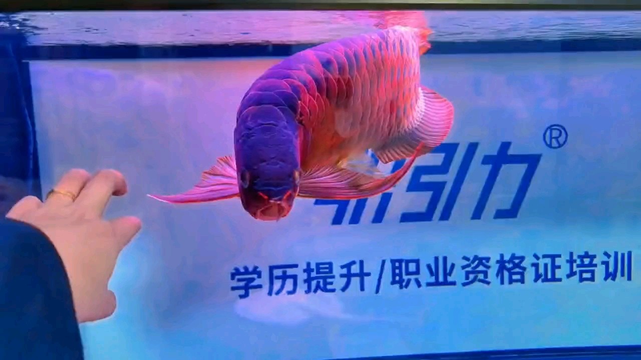 失蹤人口回歸，日常記錄