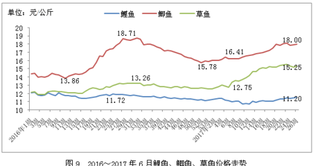 客廳擺放魚缸好嗎？風水、美觀與實用性的全面解析 客廳擺放魚缸好嗎？風水、美觀與實用性的全面解析 龍魚百科 第3張