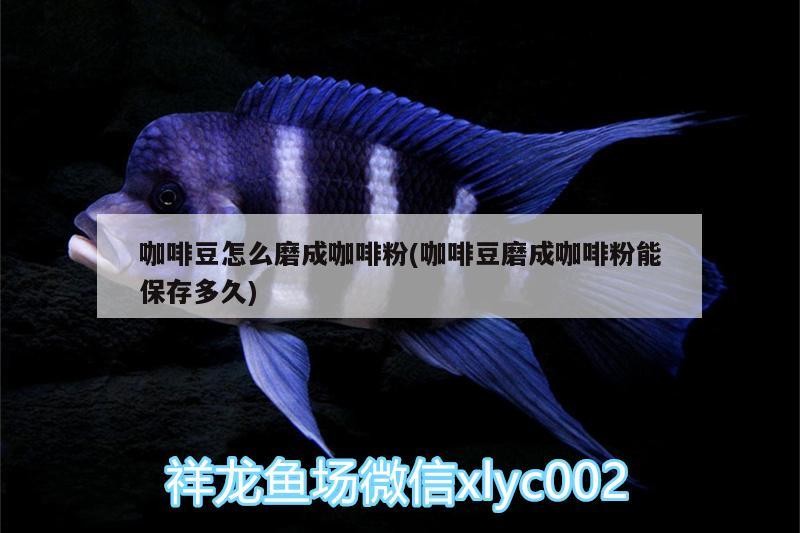 咖啡豆怎么磨成咖啡粉(咖啡豆磨成咖啡粉能保存多久) 咖啡豆怎么磨成咖啡粉(咖啡豆磨成咖啡粉能保存多久) 馬來西亞咖啡