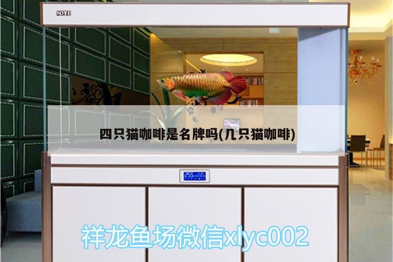 四只貓咖啡是名牌嗎(幾只貓咖啡) 四只貓咖啡是名牌嗎(幾只貓咖啡) 馬來西亞咖啡