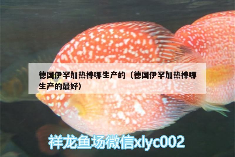 德國伊罕加熱棒哪生產的（德國伊罕加熱棒哪生產的最好）