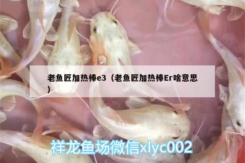 老魚匠加熱棒e3（老魚匠加熱棒Er啥意思） 老魚匠加熱棒e3（老魚匠加熱棒Er啥意思） 老魚匠