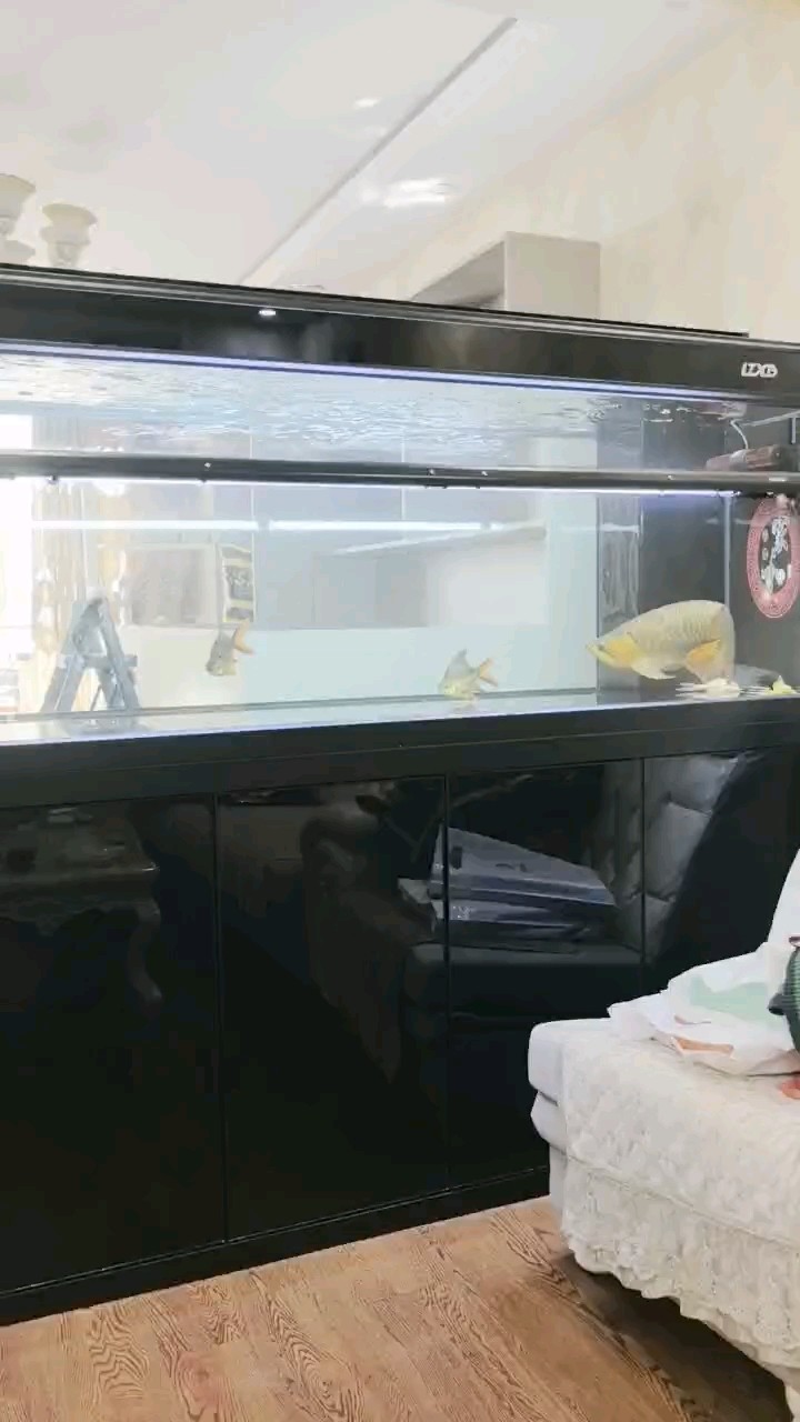 龍潭新兵自帶側燈