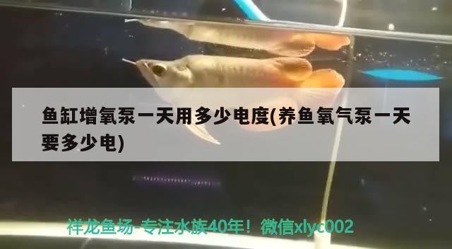 大姚怡林園水族花鳥店